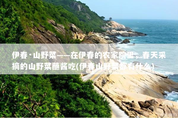 伊春·山野菜——在伊春的农家院里，春天采摘的山野菜蘸酱吃(伊春山野菜都有什么)