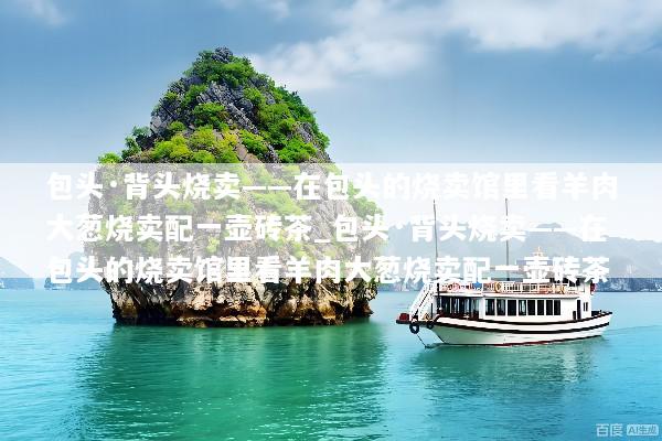 包头·背头烧卖——在包头的烧卖馆里看羊肉大葱烧卖配一壶砖茶_包头·背头烧卖——在包头的烧卖馆里看羊肉大葱烧卖配一壶砖茶