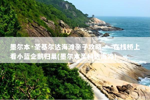 墨尔本·圣基尔达海滩亲子攻略——在栈桥上看小蓝企鹅归巢(墨尔本圣科达海滩)