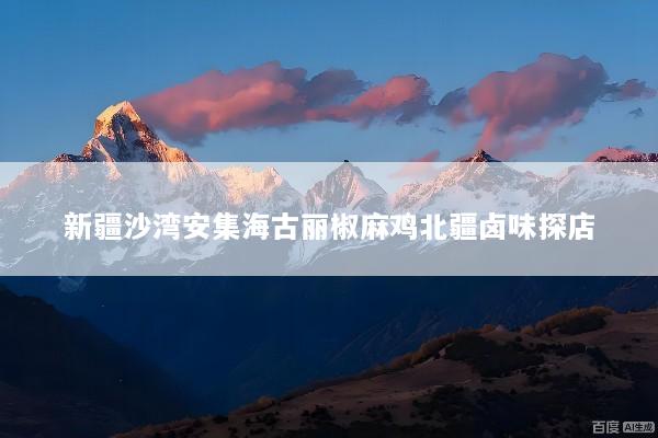 新疆沙湾安集海古丽椒麻鸡北疆卤味探店