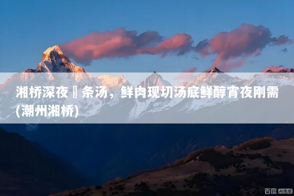 湘桥深夜粿条汤，鲜肉现切汤底鲜醇宵夜刚需(潮州湘桥)