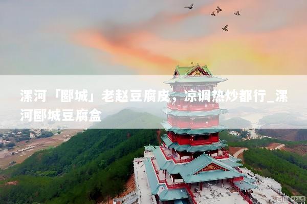 漯河「郾城」老赵豆腐皮，凉调热炒都行_漯河郾城豆腐盒