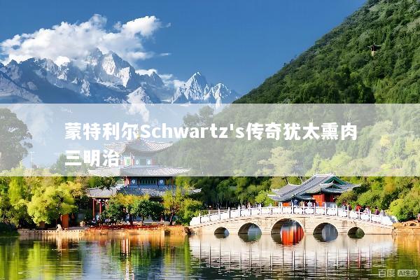 蒙特利尔Schwartz's传奇犹太熏肉三明治