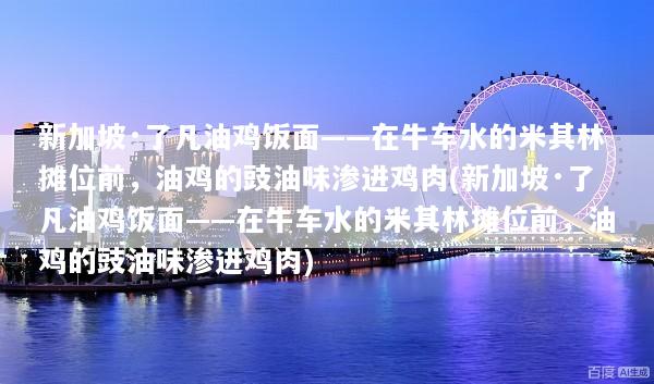 新加坡·了凡油鸡饭面——在牛车水的米其林摊位前，油鸡的豉油味渗进鸡肉(新加坡·了凡油鸡饭面——在牛车水的米其林摊位前，油鸡的豉油味渗进鸡肉)