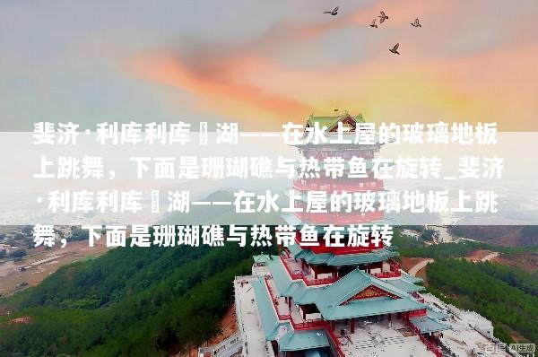 斐济·利库利库潟湖——在水上屋的玻璃地板上跳舞，下面是珊瑚礁与热带鱼在旋转_斐济·利库利库潟湖——在水上屋的玻璃地板上跳舞，下面是珊瑚礁与热带鱼在旋转
