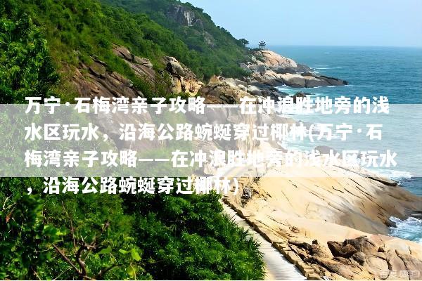 万宁·石梅湾亲子攻略——在冲浪胜地旁的浅水区玩水，沿海公路蜿蜒穿过椰林(万宁·石梅湾亲子攻略——在冲浪胜地旁的浅水区玩水，沿海公路蜿蜒穿过椰林)