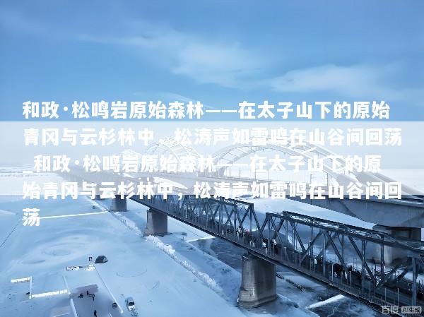 和政·松鸣岩原始森林——在太子山下的原始青冈与云杉林中，松涛声如雷鸣在山谷间回荡_和政·松鸣岩原始森林——在太子山下的原始青冈与云杉林中，松涛声如雷鸣在山谷间回荡