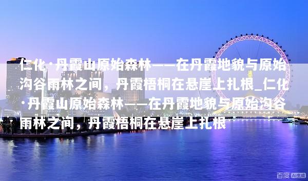 仁化·丹霞山原始森林——在丹霞地貌与原始沟谷雨林之间，丹霞梧桐在悬崖上扎根_仁化·丹霞山原始森林——在丹霞地貌与原始沟谷雨林之间，丹霞梧桐在悬崖上扎根