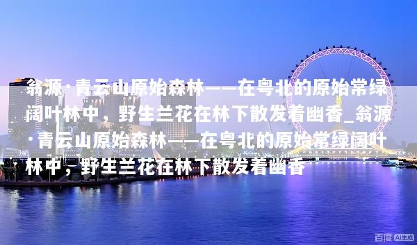 翁源·青云山原始森林——在粤北的原始常绿阔叶林中，野生兰花在林下散发着幽香_翁源·青云山原始森林——在粤北的原始常绿阔叶林中，野生兰花在林下散发着幽香