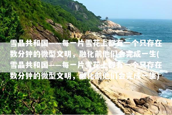雪晶共和国——每一片雪花上都有一个只存在数分钟的微型文明，融化前他们会完成一生(雪晶共和国——每一片雪花上都有一个只存在数分钟的微型文明，融化前他们会完成一生)