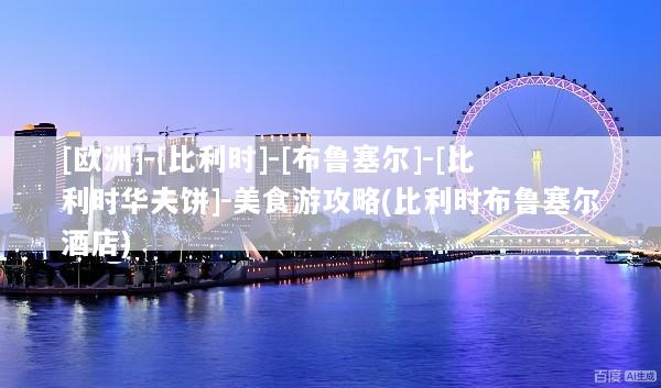 [欧洲]-[比利时]-[布鲁塞尔]-[比利时华夫饼]-美食游攻略(比利时布鲁塞尔酒店)